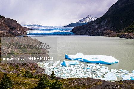 Icebergs in Grey Lake (Lago Grey) with Grey Glacier (Glaciar Grey) behind, Torres del Paine National Park, Patagonia, Chile, South America