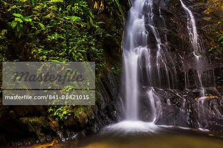 Cucharillos Waterfall in the Mashpi Cloud Forest area of the Choco Rainforest, Ecuador, South America