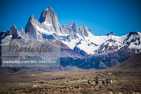 Gauchos riding horses and herding sheep with Mount Fitz Roy behind, UNESCO World Heritage Site, El Chalten, Patagonia, Argentina, South America