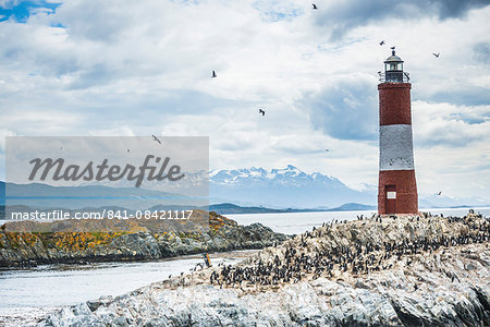 Les Eclaireurs Lighthouse and cormorant colony on an island in the Beagle Channel, Ushuaia, Tierra Del Fuego, Argentina, South America