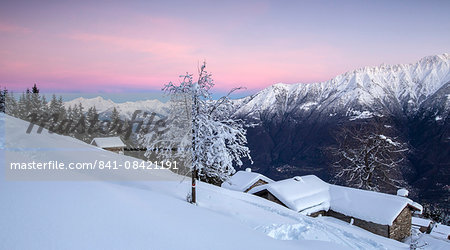 Pink sky at dawn above snow covered huts and trees, Tagliate Di Sopra, Gerola Valley, Valtellina, Orobie Alps, Lombardy, Italy, Europe