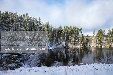 Kielder Water and Forest Park in snow, Northumberland, England, United Kingdom, Europe