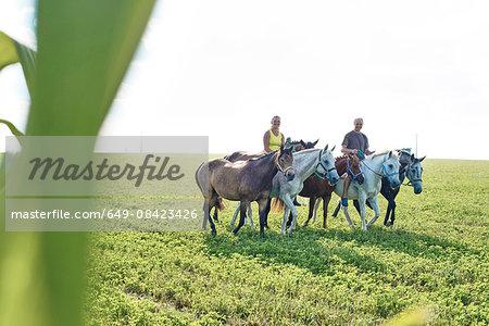 Woman and man riding and leading six horses in field