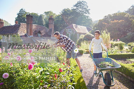 Father and son gardening in sunny flower garden