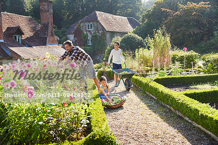 Family gardening in sunny flower garden