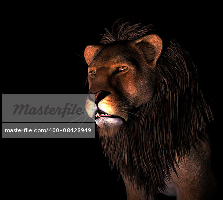 Angry Lion Illustration at black background