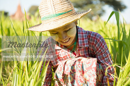 Portrait of a young Burmese female farmer with thanaka powdered face harvesting in field.