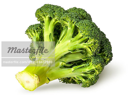 Large inflorescences of fresh broccoli bottom view isolated on white background