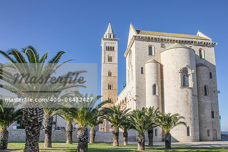 Cathedral of Trani, Italy, with palm trees in front