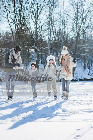 Happy family holding hands on a beautiful snowy day