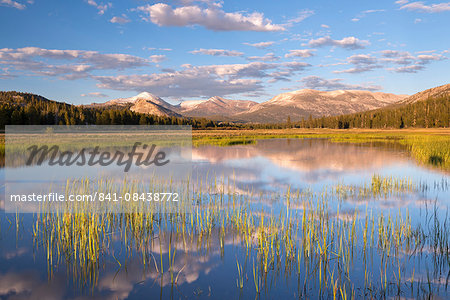 Seasonal pond on Tuolumne Meadows in Yosemite National Park, UNESCO World Heritage Site, California, United States of America, North America