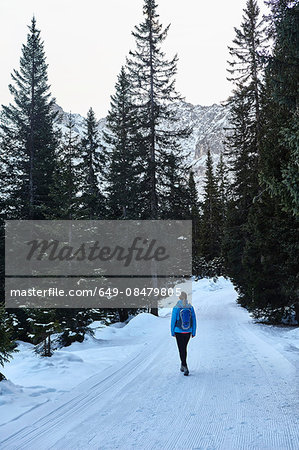 Rear view of young woman hiking along snowy rural road, Austria