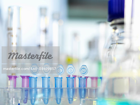 Row of eppendorf vial awaiting sample for testing in laboratory