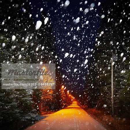 Illuminated road at winter