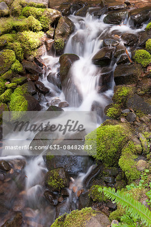 Water flowing over mossy rocks, Olympic National Park, Washington, USA