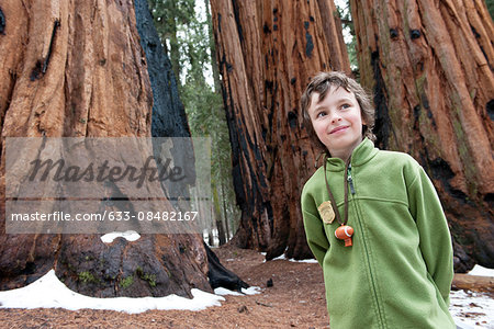 Boy standing in front of giant trees, Sequoia and Kings Canyon National Parks, California, USA