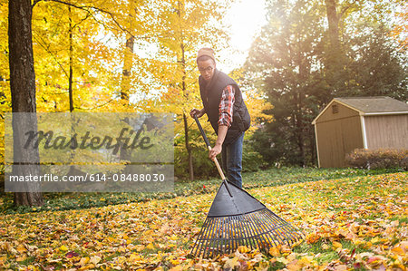 Man raking in autumn leaves garden