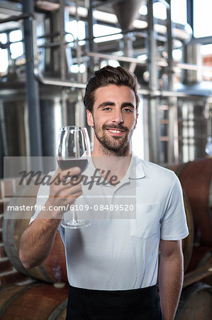 Handsome man holding a glass of wine in a brewery
