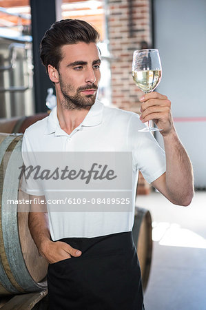 Handsome man holding a glass of wine in a brewery