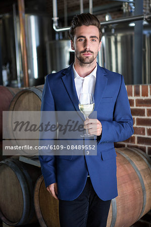 Well dressed man holding a glass of white wine at winefarm