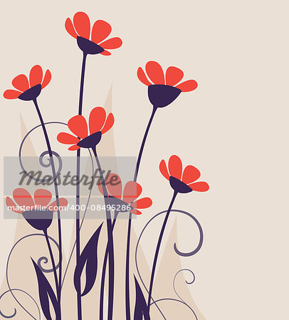 Vector illustration of colorful flowers, wild flowers