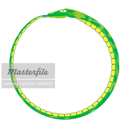 Green Snake Isolated on White Background. Poisonous Reptile. Snake Arched to Form a Circle