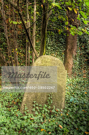 The Old Jewish cemetery at Kolin - one of the oldest landmarks of that kind in Bohemia. The beginning of the cemetery dates back to the 15th century. The oldest tombstones  are from 1492. There are over 2600 tombstones on the cemetery. For example: tombstone of Becalel, son of Jehuda Low. Kolín, Czech republic, Europe.