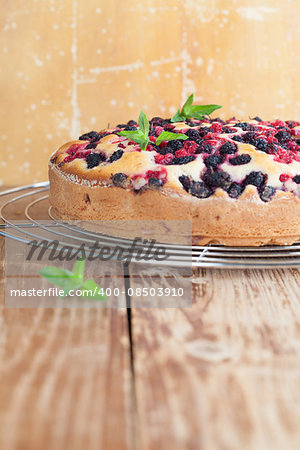 Mulberry and red currant cake. Shallow dof