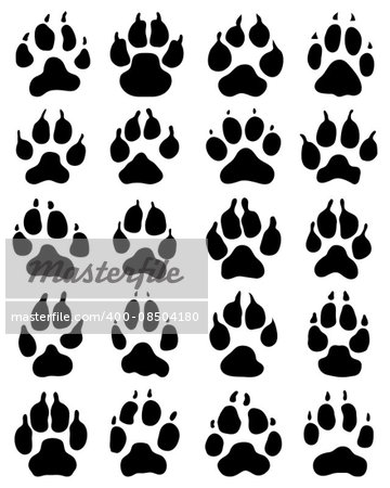 Black print of dogs paws on white background, vector