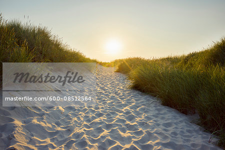 Sandy Path through the Dunes at Sunset to the Beach, Bunken, Aalbaek Bay, Baltic Sea, North Jutland, Denmark Sandy Path through the Dunes at Sunset to the Beach, Bunken, Aalbaek Bay, Baltic Sea, North Jutland, Denmark