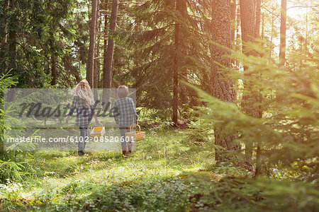 Brother and sister picking mushrooms in forest