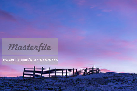 Winter landscape with fence at dawn