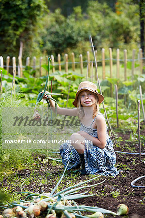 Girl picking up onions