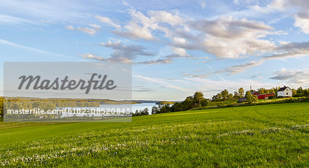 Cultivated field with lake in background