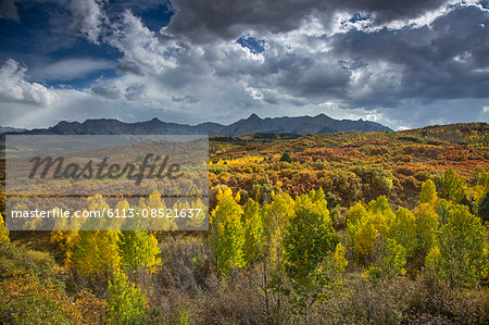 Clouds over yellow autumn trees in valley below mountains, Dallas Divide, Colorado, United States,