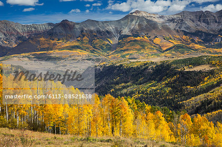 Yellow autumn trees on sunny hillside below mountains, Sunshine Mesa, Colorado, United States