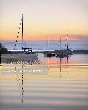 Yachts moored on Lough Derg in the early morning, River Shannon, Portumna, Co Galway, Republic of Ireland, Europe