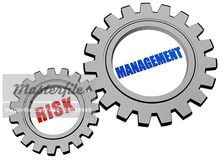 risk management - text in 3d silver grey metal gear wheels, business organization concept words