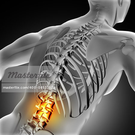 3D render of a medical image of a male figure with spine highlighted