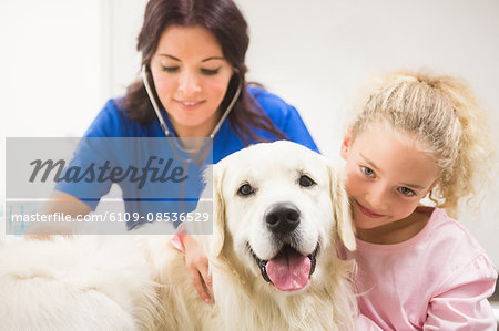 Girl standing with her dog while vet examining
