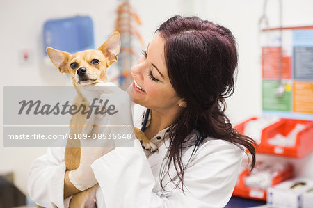 Happy veterinarian petting dog