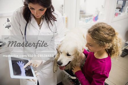 Veterinarian discussing x-ray of a dog