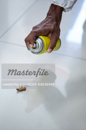 Pest control man spraying pesticide on a cockroach