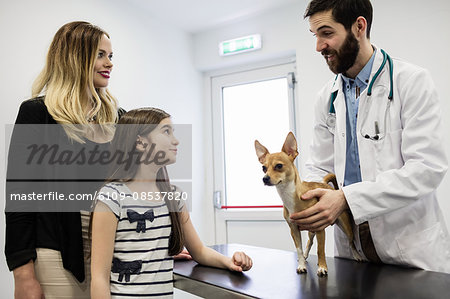Vet examining dog with its owner