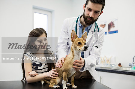 Vet examining dog with its owner