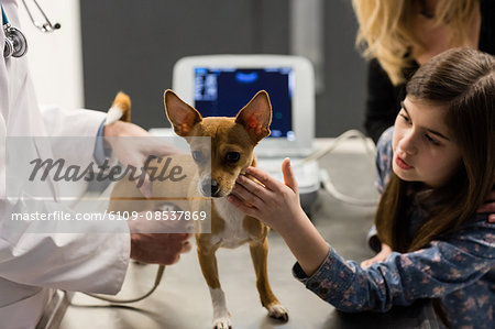 Vet examining a dog with its owner