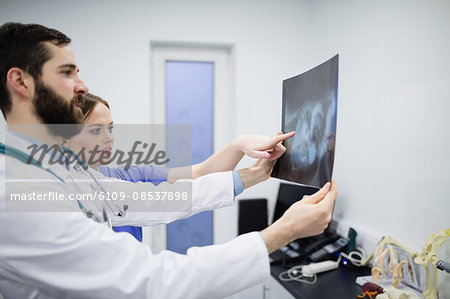 Vets discussing x-ray of dog