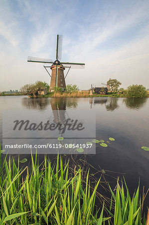 Green grass frames the windmills reflected in the canal, Kinderdijk, Rotterdam, South Holland, Netherlands, Europe