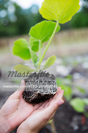 Teenage girl holding plant in hands