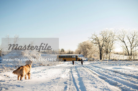 Golden retriever watching two young sisters walking to school bus on snow covered track, Ontario, Canada